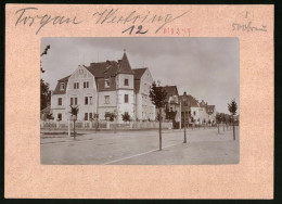 Fotografie Brück & Sohn Meissen, Ansicht Torgau / Elbe, Westring Strasseneck Mit Wohnhaus  - Lugares