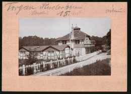 Fotografie Brück & Sohn Meissen, Ansicht Torgau / Elbe, Bootshaus Des Rudervereins  - Lugares