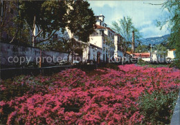 72492763 Funchal Bungavillias Funchal - Sonstige & Ohne Zuordnung