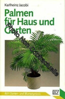 Palmen Für Haus Und Garten - Altri & Non Classificati