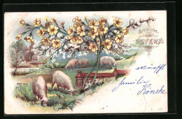 Lithographie Fröhliche Ostern, Schafe Auf Der Weide Mit Blumen  - Pasen