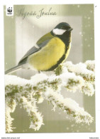 GREAT TIT ( Parus Major ) - WWF - FINLAND - - Oiseaux