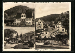 AK Herrenalb /Schwarzwald, Fremdenheim Villa Zibold  - Bad Herrenalb