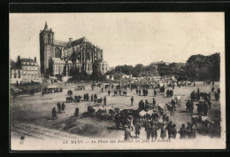 CPA Le Mans, La Place Des Jacobins  - Le Mans