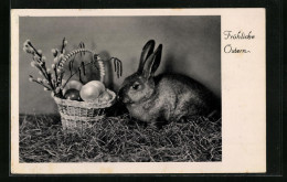 AK Fröhliche Ostern, Osterhase Neben Körbchen Mit Eiern  - Easter