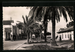 CPA Port-Lyautey, Rue De La Republique  - Autres & Non Classés