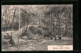 AK Buckow / Märk. Schweiz, Poetensteg  - Buckow