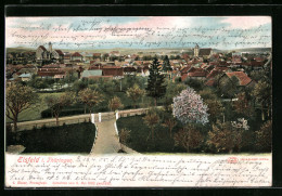 AK Eisfeld /Thür., Panorama Der Stadt  - Autres & Non Classés