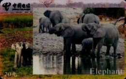 TELECARTE ETRANGERE....ELEPHANTS - Otros & Sin Clasificación