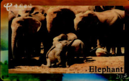 TELECARTE ETRANGERE....ELEPHANTS - Other & Unclassified