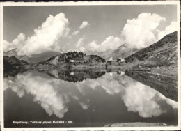 10793407 Engelberg OW Engelberg Truebsee Hahnen X Engelberg - Andere & Zonder Classificatie