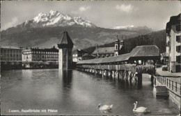 10793245 Luzern LU Luzern Kapellbruecke Pilatus Schwan * Luzern - Other & Unclassified