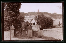 Fotografie Brück & Sohn Meissen, Ansicht Radebeul-Oberlössnitz, Blick Zu Hoflössnitz, Bismarckturm Und Spitzhaus  - Orte