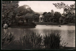 Fotografie Brück & Sohn Meissen, Ansicht Bad Elster, Blick Auf Den Gondelteich Mit Pavillon  - Places