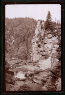 Fotografie Brück & Sohn Meissen, Ansicht Zöblitz, Partie An Der Teufelsmauer Im Schwarzwassertal  - Places