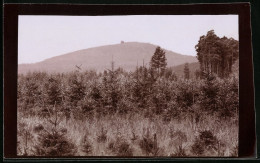 Fotografie Brück & Sohn Meissen, Ansicht Collm, Blick Nach Dem Collmberg, Spiegleverkehrt  - Places