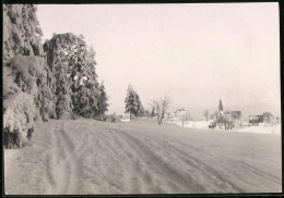 Fotografie Brück & Sohn Meissen, Ansicht Schellerhau I. Erzg., Winterlandschaft Mit Blick Zum Ort  - Orte