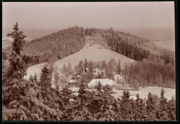 Fotografie Brück & Sohn Meissen, Ansicht Bärenfels I. Erzg., Blick Auf Die Oberförsterei Im Winter  - Places