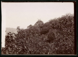 Fotografie Brück & Sohn Meissen, Ansicht Thale, Blick Auf Die Bülowshöhe Im Bodethal  - Lieux