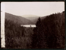 Fotografie Brück & Sohn Meissen, Ansicht Zellerfeld, Blick In Das Spiegelthal Mit Hochsitz  - Lieux