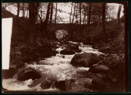 Fotografie Brück & Sohn Meissen, Ansicht Ilfeld, Partie Im Bäretal Mit Bachlauf  - Places