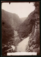 Fotografie Brück & Sohn Meissen, Ansicht Thale, Blick Vom Kronentempel In Das Tal  - Lieux