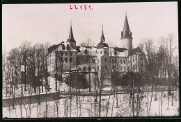 Fotografie Brück & Sohn Meissen, Ansicht Neuhausen I. Sa., Blick Auf Das Schloss Im Winter  - Places