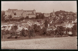 Fotografie Brück & Sohn Meissen, Ansicht Colditz I. Sa., Blick Auf Die Stadt Mit Dem Schloss  - Places