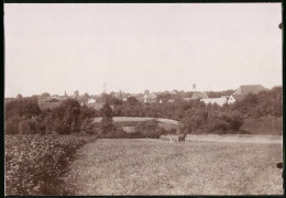 Fotografie Brück & Sohn Meissen, Ansicht Naustadt I. Sa., Blick Von Den Feldern Nach Dem Ort, Bauer Bei Der Feldarbeit  - Places