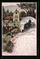 Lithographie Ilsenburg /Harz, Forsthaus Plessenburg, Der Ilsenstein  - Jacht