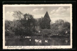 AK Grossenbrode I. Holst., Schwanenteich Mit Blick Auf Die Kirche  - Autres & Non Classés