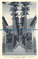 R102272 Rio De Janeiro. The Avenue Of Palms In The Botanical Garden. Brazil. Lit - Monde