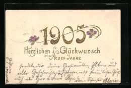 AK Glückwünsche Zum Neuen Jahre 1905  - Sonstige & Ohne Zuordnung