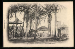 CPA Alger, Jardin D`Essais - Oasis Des Palmiers  - Alger