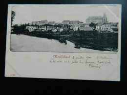 CARTE PRECURSEUR 1900                 MONTBELIARD - Montbéliard