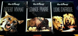 Collection Walt Disney=Désert Vivant La Grande Prairie Lions D Afrique - Autres & Non Classés