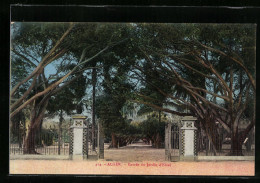 CPA Alger, Entrée Du Jardin D`Essai  - Alger