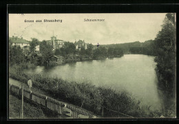 AK Strausberg, Blick über Den Schwanensee  - Strausberg