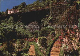 72488901 Madeira Garten In Monte Madeira  - Other & Unclassified