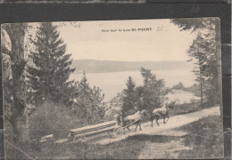 25 - SAINT POINT LAC - Vue Sur Le Lac De St Point - Autres & Non Classés