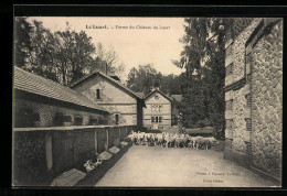 CPA Le Luart, Ferme Du Chateau Du Luart  - Other & Unclassified