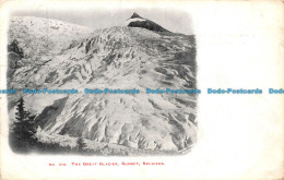 R102917 No. 373. The Great Glacier. Summit. Selkirks. Bill Hopkins Collection. 1 - Monde
