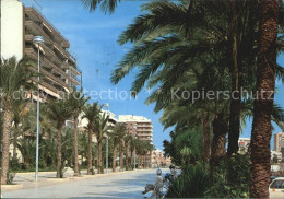 72486142 Torrevieja Paseo De Jose Antonio Torrevieja - Other & Unclassified