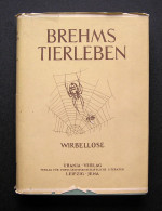 Brehms Tierleben Wirbellose 1956 - Libri Vecchi E Da Collezione