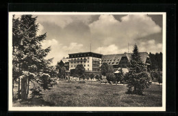 AK Feldberg Im Schwarzwald, Am Hotel Feldberger Hof  - Feldberg