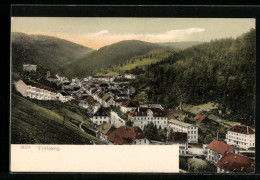 AK Triberg, Blick Auf Den Gesamten Ort Im Tal  - Triberg