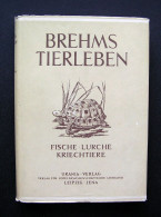 Brehms Tierleben Band 2: Fische, Lurche, Kriechtiere 1956 - Libros Antiguos Y De Colección