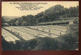 88 - PLOMBIERES-LES-BAINS - SOCIETE TH. LECLER, LINGE DE MAISON - TOILE DES VOSGES BLANCHIE SUR LE PRE - Plombieres Les Bains