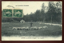 88 - LIFFOL-LE-GRAND - LES VERGERES - BERGER ET SON TROUPEAU DE MOUTONS - Liffol Le Grand