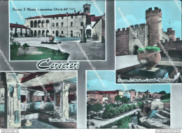 Bu187 Cartolina Cerveteri 4 Vedtuine Provincia Di Roma Lazio - Autres & Non Classés
